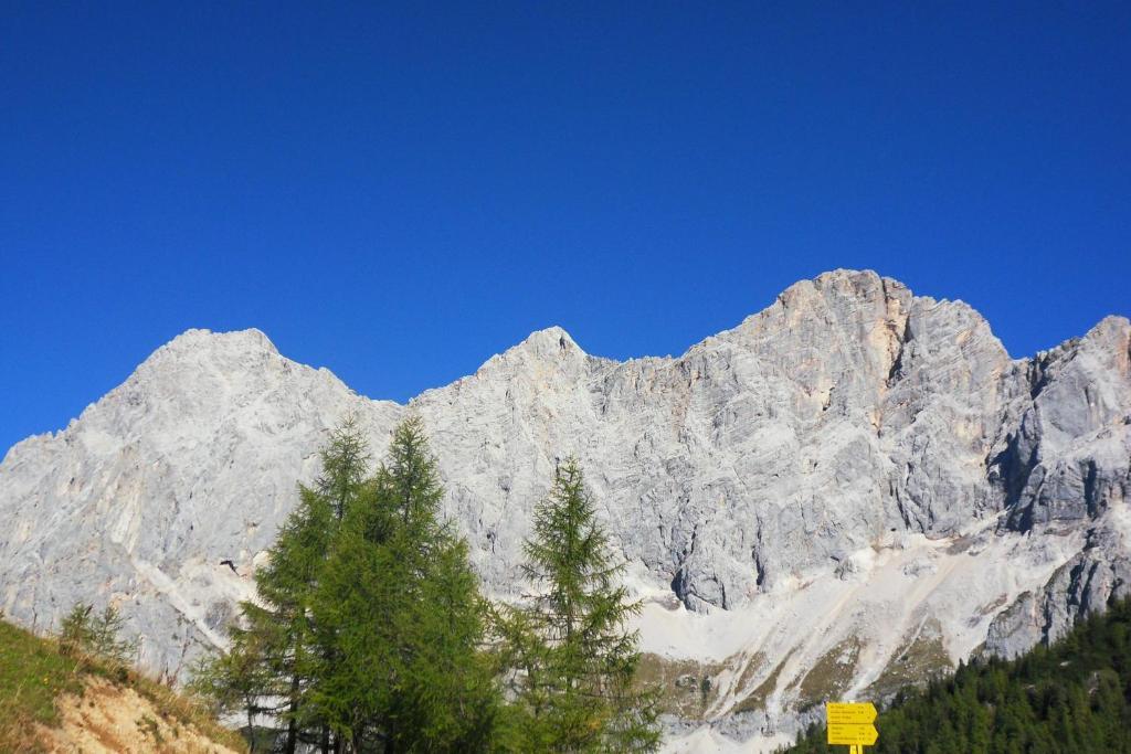Ferienhaus Abendstille Ramsau am Dachstein Habitación foto